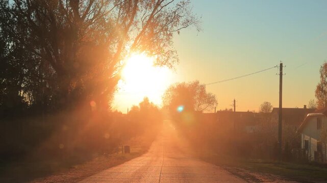 Landscape, evening view of the road and the side of the road, driving against the backdrop of the sunset, sun rays and glare through trees