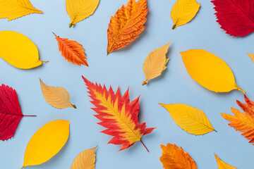 Obraz premium autumn, leaf