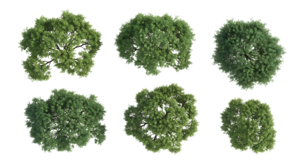 Top View of Six Green Trees on Black Background a9a52ac8c1953bba6254d042c471732fdr