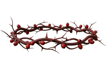 Isolated Crown of Thorns with Berries religious symbol of suffering and sacrifice