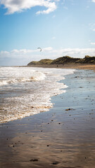 Amble Dunes, with views of Coquet Island and Low Hauxley,  Northumberland September 2025