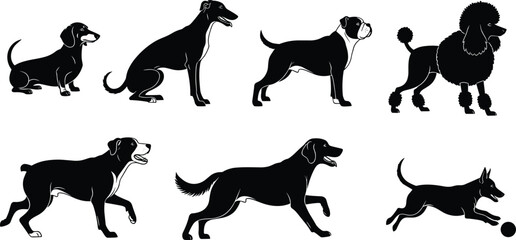 dog, canine, breed, silhouette, sit, stand, walk, play, icon, vector, illustration, black, white, pet, anatomy, behavior, domestic, retriever, shepherd, design