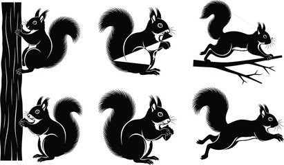 squirrel, animal, silhouette, climb, sit, run, leap, crouch, icon, vector, illustration, black, white, nature, forest, anatomy, behavior, wildlife, tail, design