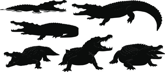 crocodile, alligator, reptile, animal, silhouette, swim, crawl, crouch, roar, strike, jaw, teeth, icon, vector, illustration, black, white, predator, swamp, wildlife, designvv