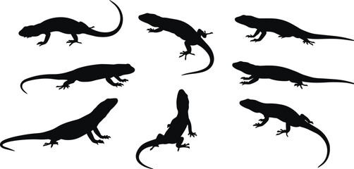 lizard, animal, silhouette, reptile, crawl, climb, stand, rest, icon, vector, illustration, black, white, nature, desert, anatomy, behavior, wildlife, tropical, gecko, design
