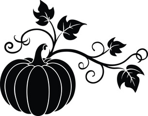 Pumpkin Vine Silhouette | Farm Crop Plant Vector