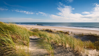 Sandbridge Beach In Virginia Beach Virginia With Beach Grass On Dunes And Ocean Background