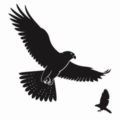 Falcon chasing small bird silhouette