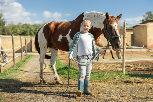 Happy boy leads a horse by the bridle for a walk in the pasture - Powered by Adobe
