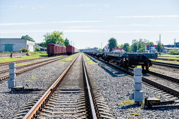 Fototapeta premium Train Tracks Through Forest in sunny day low angle view