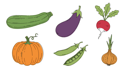 Illustration of six different vegetables: zucchini, eggplant, radish, pumpkin, peas, and onion on transparent background