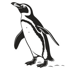 Penguin tilting head upward silhouette © Monira