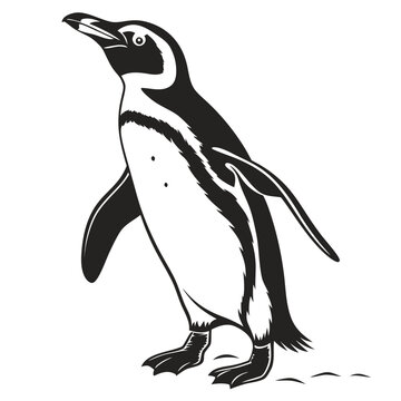 Penguin tilting head upward silhouette