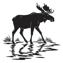 Moose standing in shallow pond silhouette