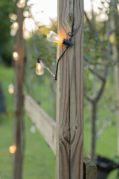 Garden Trellis With Lights As A Background