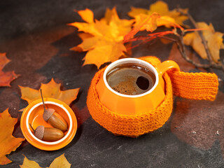 Orange coffee cup with knitted scarf on table, maple yellow leaves and acorns