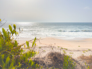 A tranquil Atlantic ocean view from a vantage point in Maceda, Ovar, Portugal, with green foliage...
