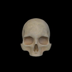 骸骨の顔クローズアップ　3DCGレンダリング