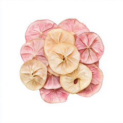 Colorful arrangement of dried apple slices showcasing vibrant fruit texture and natural pattern
