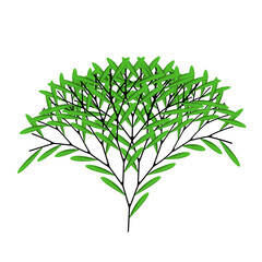 Green Leaf Tree With Dark Branches For Nature, Garden and Eco Branding