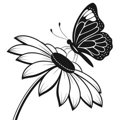 Butterfly on sunflower petal silhouette
