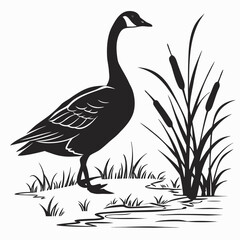 Goose standing near pond silhouette