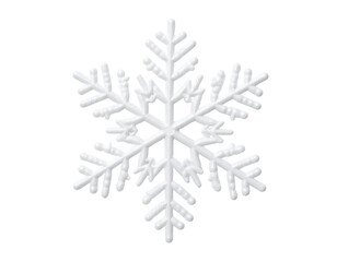 Intricate snowflake design showcasing delicate patterns and unique crystalline structures in white hues.