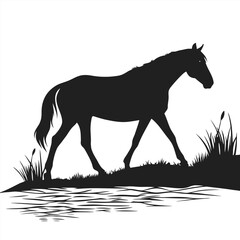 Horse walking along riverside silhouette