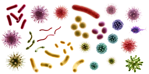set of different bacteria microbes and viruses isolated on white background, png, ai generated