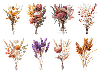 Fototapeta premium PNG Vibrant dried floral arrangements displayed, element set on transparent background
