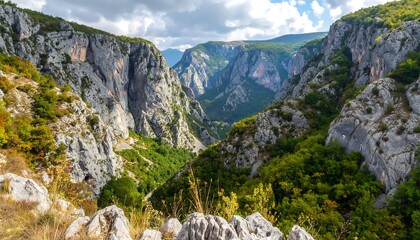 Scenic mountain valley vista