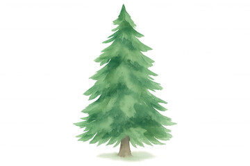 Fototapeta premium Watercolor christmas tree illustration with green branches and snow at base, holiday winter plant