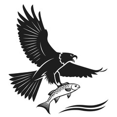 Falcon catching fish from river silhouette
