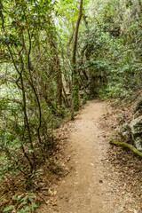 Hiking path near Polylimnio waterfall on Peloponnese peninsula, Greece