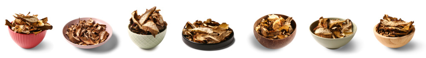 Set of tasty dried mushrooms on white background