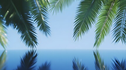 Naklejka premium Palm Fronds Overlapping Calm Blue Water Surface Keywords: palm trees, fronds, leaves, tropical