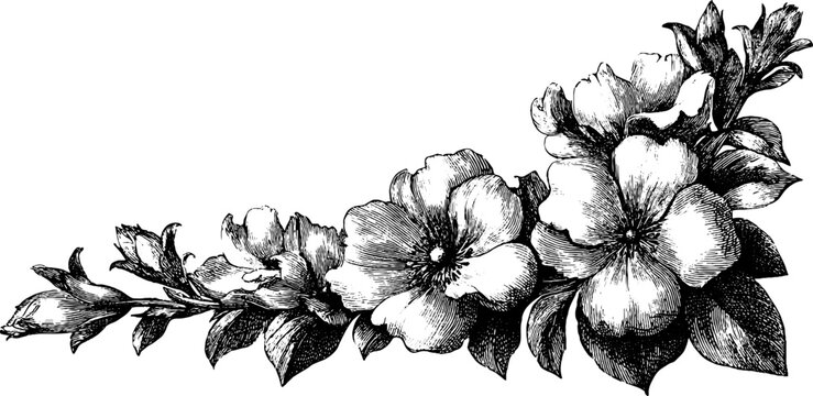 Vintage floral border lace edge design for cards and posters