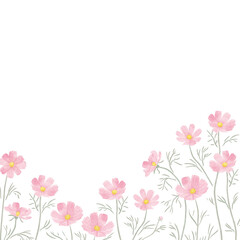 Hand-Painted Pink Cosmos Border – Square Watercolor Floral Frame – Transparent Background