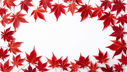 均整のとれたボーダー幅で上下左右のバランスを取り視覚的安定感を重視した清潔感のある白背景の紅葉デザイン写真.生成AI