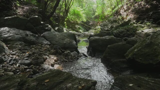 Tobikoe Stone on the Manyo Ancient Trail Crossing the Border of Wakayama and Nara Hashimoto, Wakayama & Gojo, Nara, Japan　万葉古道・和歌山県と奈良県を越える「飛び越え石」和歌山県橋本市・奈良県五條市