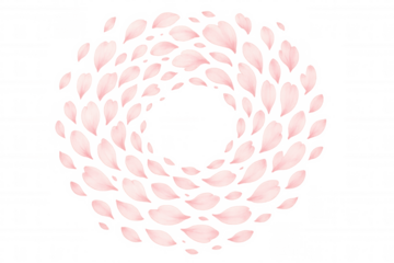 Pink cherry blossom petals forming a swirling round frame on a transparent background, symbolizing spring, nature, and beauty
