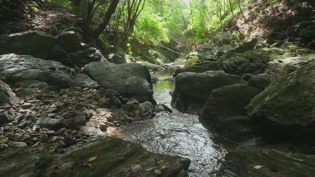 Tobikoe Stone on the Manyo Ancient Trail Crossing the Border of Wakayama and Nara Hashimoto, Wakayama & Gojo, Nara, Japan　万葉古道・和歌山県と奈良県を越える「飛び越え石」和歌山県橋本市・奈良県五條市