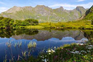 Fototapete bei efototapeten.de bestellen   