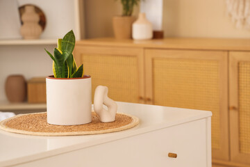 Houseplant and decor on chest of drawers in bedroom. Closeup