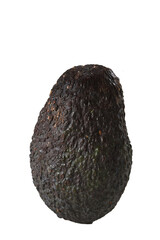 delicious mexican avocado guacamole inside the canister isolated on black background. taste