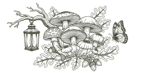 Enchanted forest elements in vintage engraving style: mushrooms, lantern, oak leaves, and butterfly