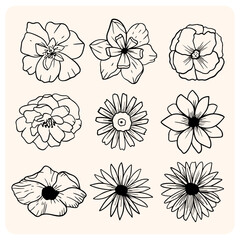 Hand-Drawn Flower Blooms Line Art Collection