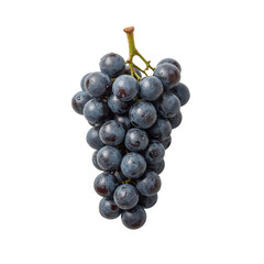 purple grapes bunch png, fresh purple grapes image, realistic purple grape illustration png, juicy purple grapes png, sweet purple grape cluster png, organic purple grapes png, ripe purple grapes