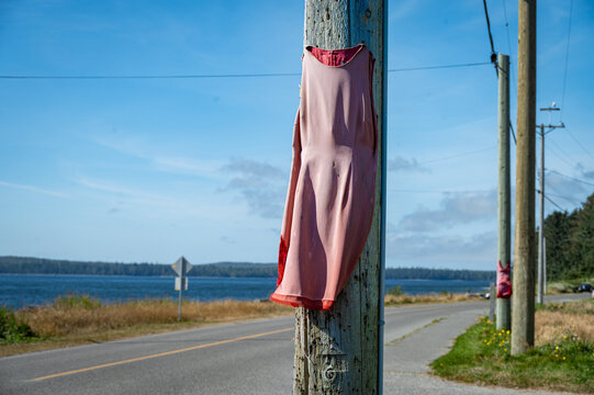One of many red dresses on Raven Ave, in Old Massett, B.C., Canada. The dresses are used as symbols of missing and murdered indigenous women.
