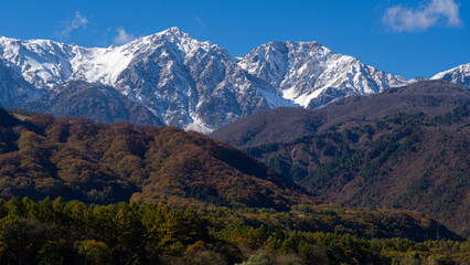 冠雪した北アルプスの山並み　長野県白馬村